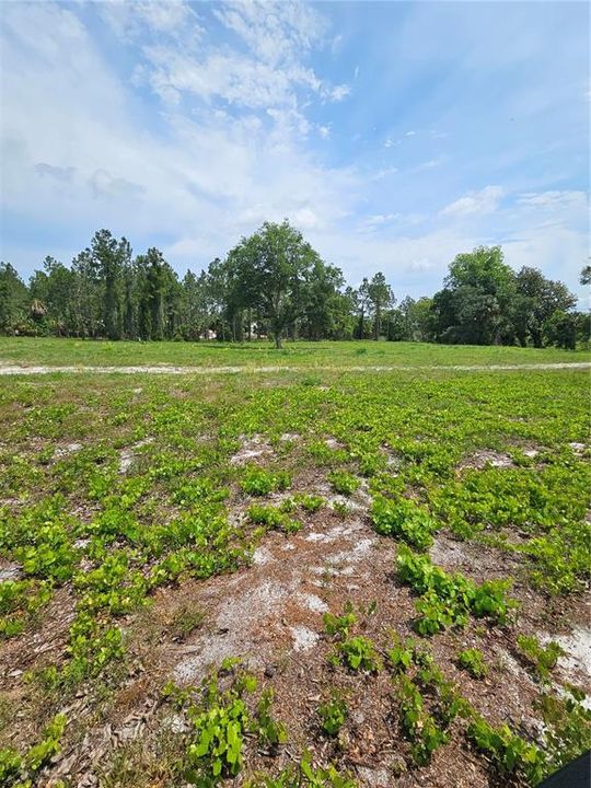 For Sale: $875,000 (21.07 acres)