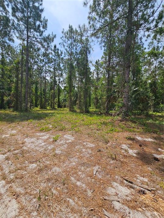 For Sale: $875,000 (21.07 acres)