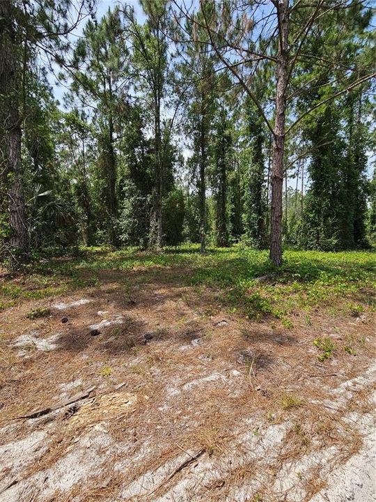 For Sale: $875,000 (21.07 acres)