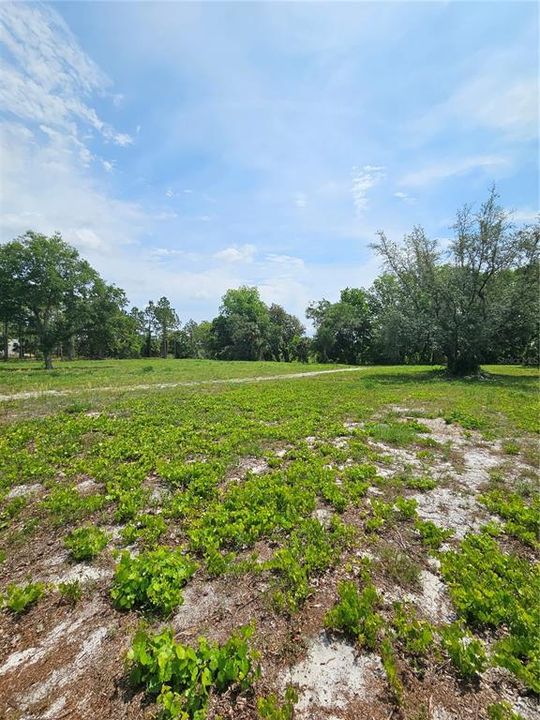 For Sale: $875,000 (21.07 acres)