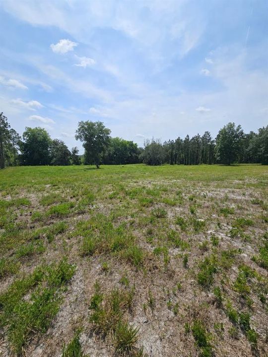 For Sale: $875,000 (21.07 acres)
