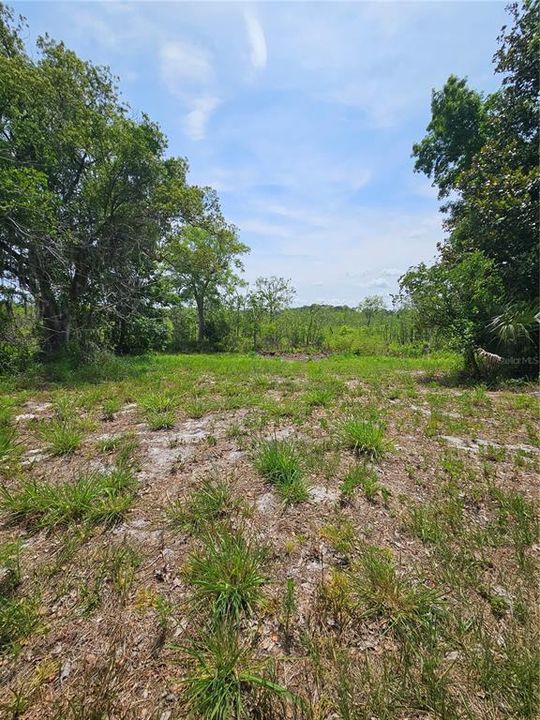 For Sale: $875,000 (21.07 acres)