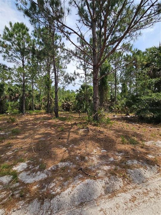 For Sale: $875,000 (21.07 acres)