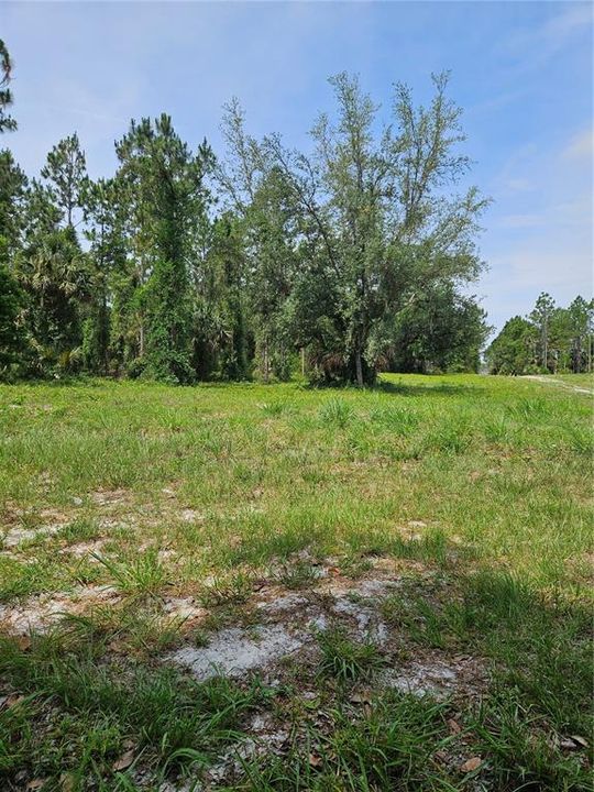 For Sale: $875,000 (21.07 acres)