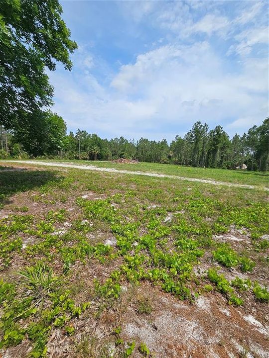 For Sale: $875,000 (21.07 acres)