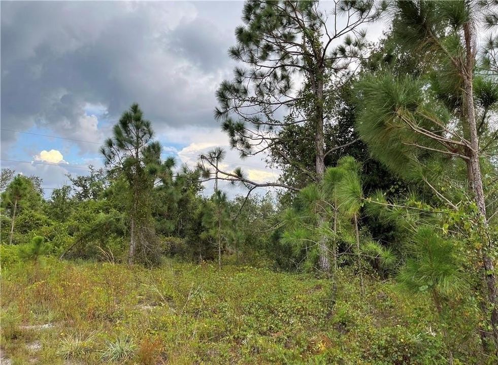 For Sale: $13,500 (0.23 acres)