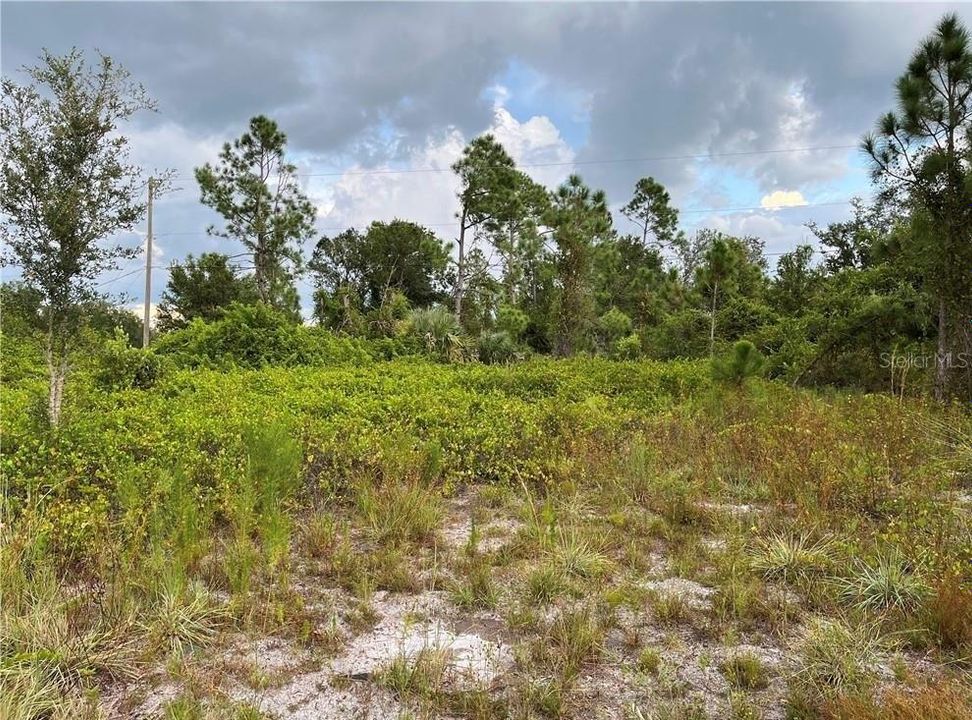 For Sale: $13,500 (0.23 acres)