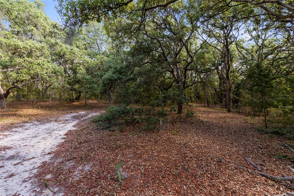 For Sale: $735,000 (5.15 acres)