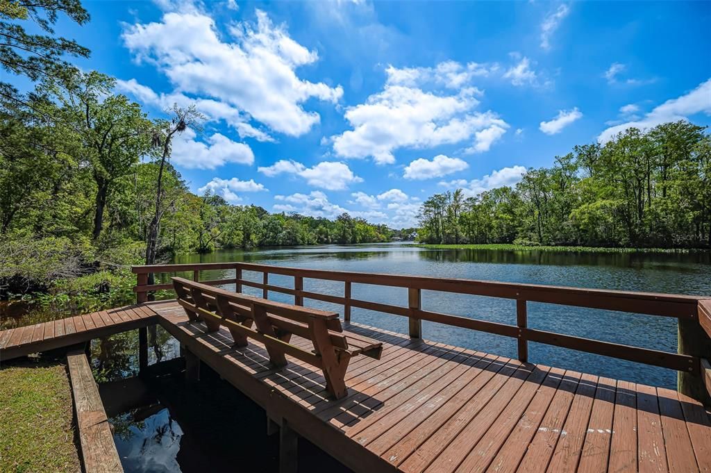 For Sale: $430,000 (4 beds, 2 baths, 2250 Square Feet)