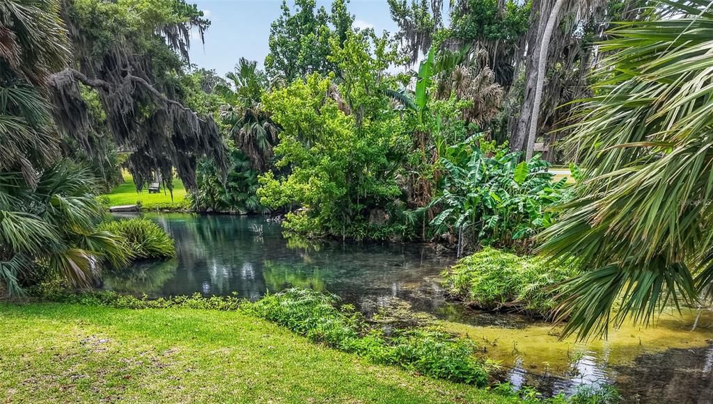 Activo con contrato: $298,000 (3 camas, 2 baños, 1415 Pies cuadrados)