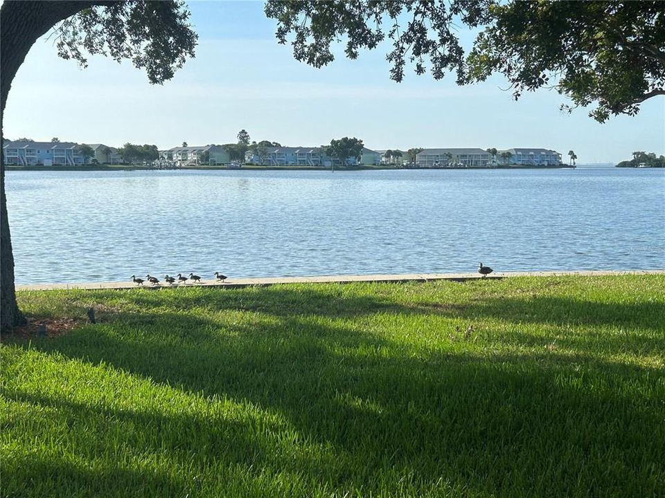 For Sale: $1,700,000 (0.35 acres)