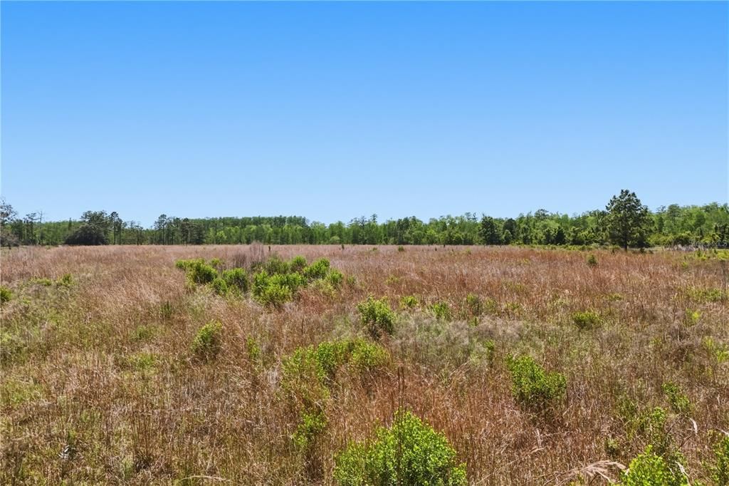 En Venta: $550,000 (6.37 acres)