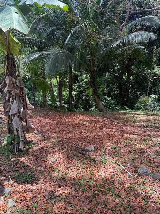 En Venta: $389,900 (0 camas, 0 baños, 0 Pies cuadrados)