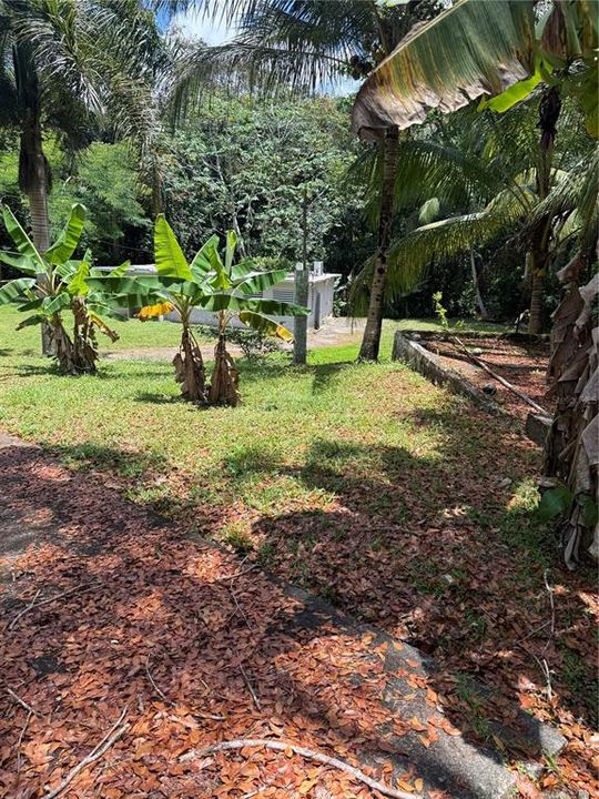 En Venta: $389,900 (0 camas, 0 baños, 0 Pies cuadrados)