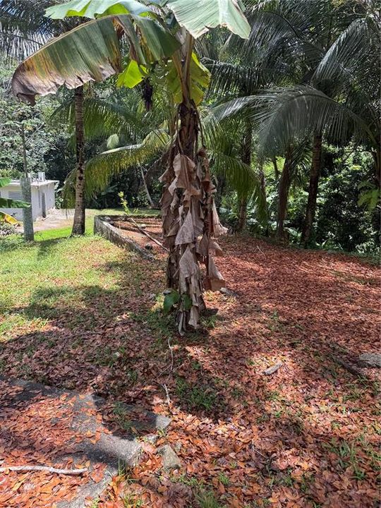 En Venta: $389,900 (0 camas, 0 baños, 0 Pies cuadrados)