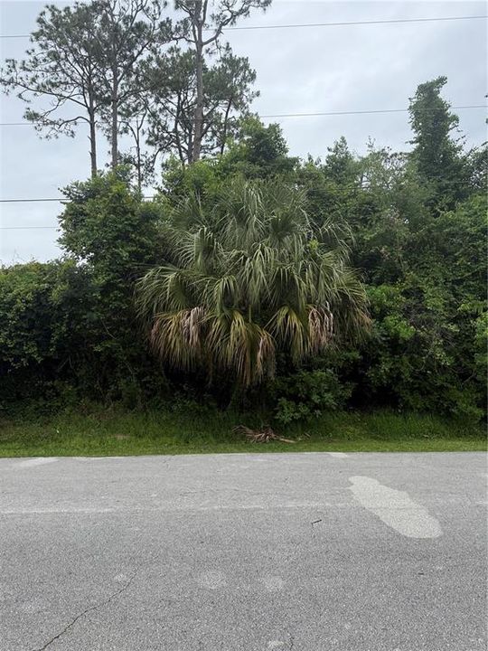 En Venta: $59,900 (0.23 acres)
