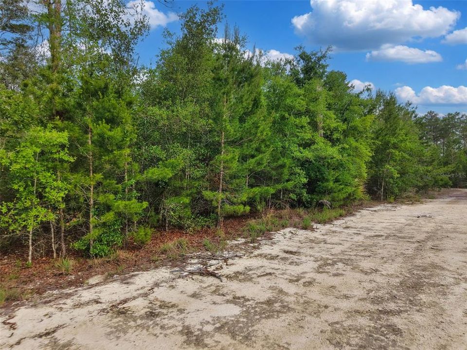 For Sale: $425,000 (22.61 acres)