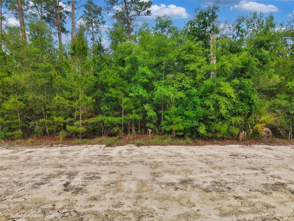 For Sale: $425,000 (22.61 acres)