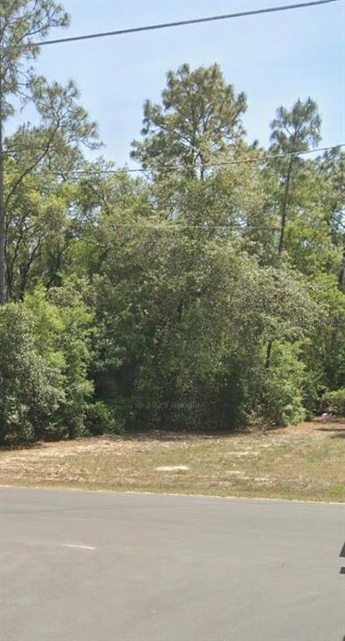 For Sale: $32,000 (0.31 acres)