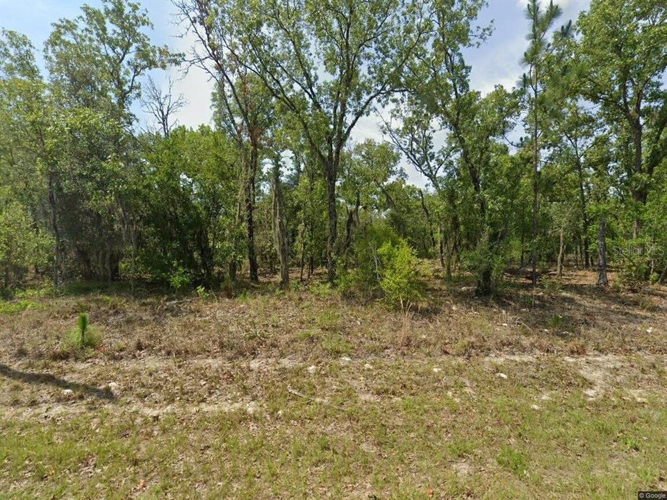 For Sale: $30,000 (0.26 acres)