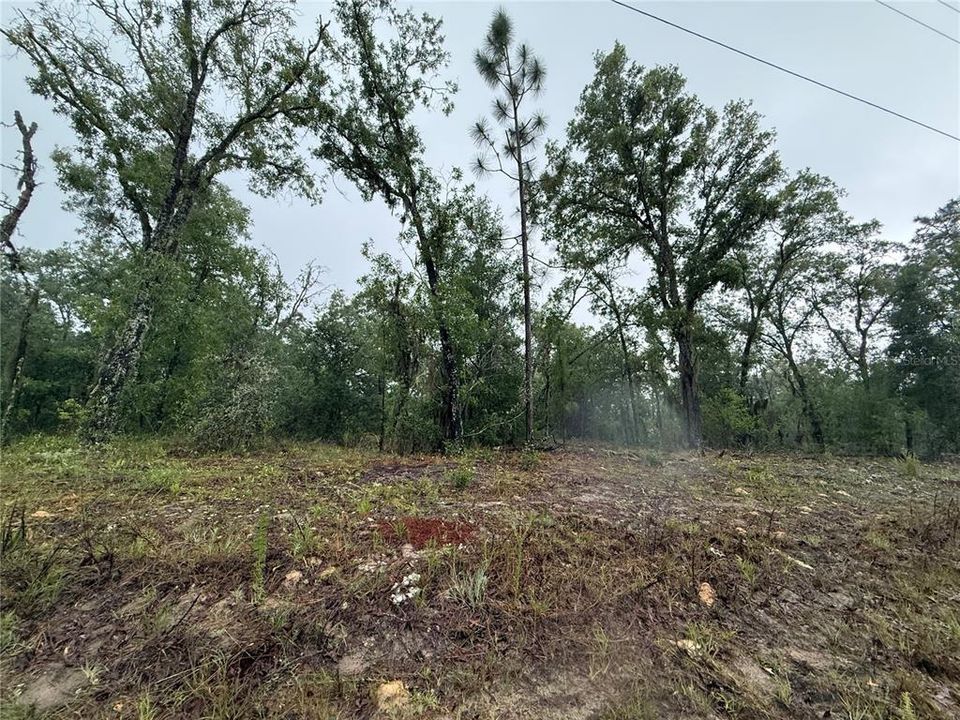 For Sale: $30,000 (0.26 acres)