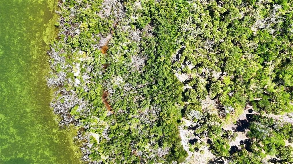 En Venta: $8,600,000 (4.20 acres)