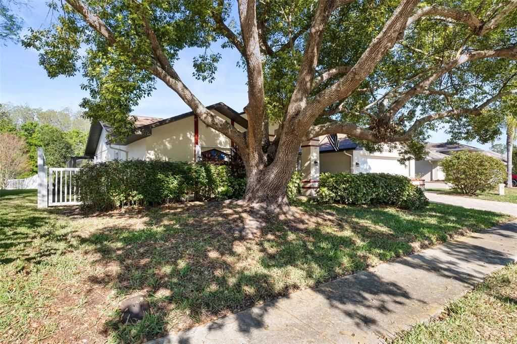 En Venta: $459,900 (3 camas, 2 baños, 2244 Pies cuadrados)