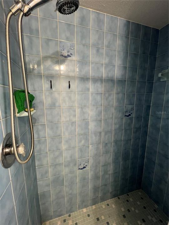 Под контрактом: $1,800 (3 спален, 2 ванн, 2305 Квадратных фут)