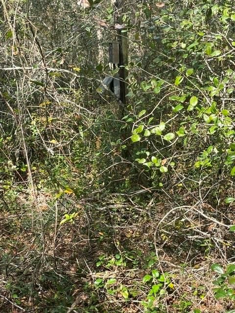 待售: $33,000 (0.99 acres)