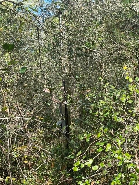 待售: $33,000 (0.99 acres)
