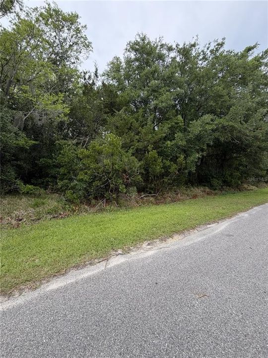 For Sale: $65,000 (1.02 acres)