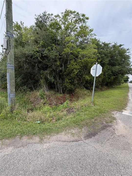 For Sale: $65,000 (1.02 acres)