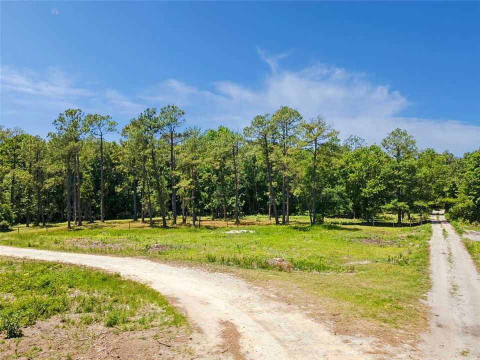 For Sale: $835,000 (4.53 acres)