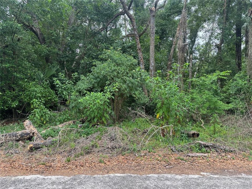 На продажу: $17,400 (0.19 acres)