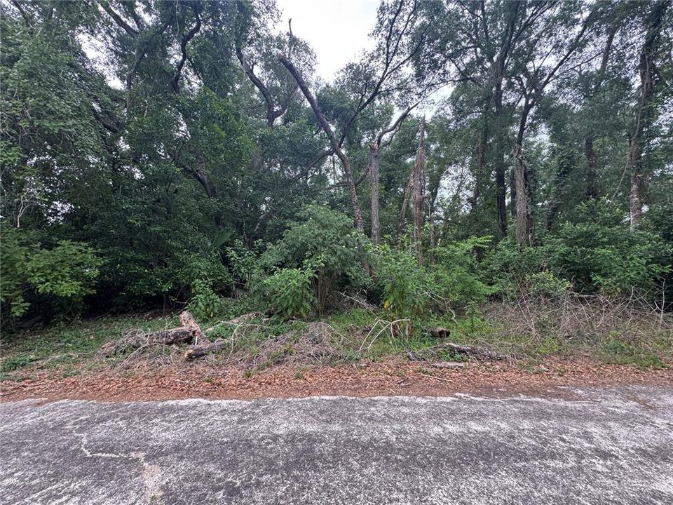 На продажу: $17,400 (0.19 acres)