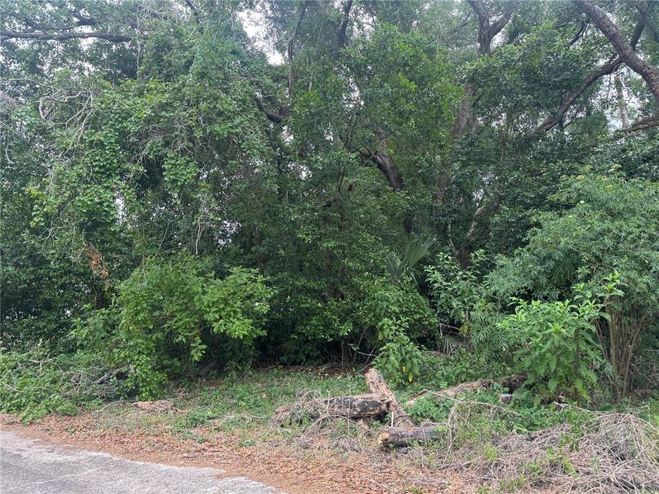 На продажу: $17,400 (0.19 acres)