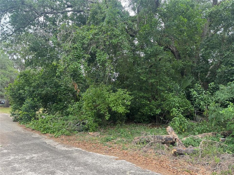 На продажу: $17,400 (0.19 acres)
