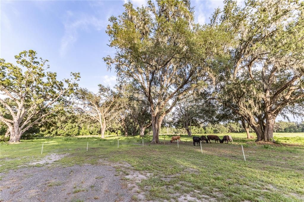 For Sale: $825,000 (15.00 acres)