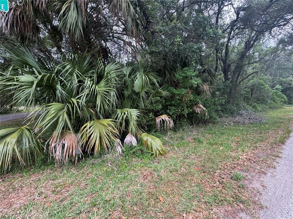 На продажу: $38,000 (0.70 acres)