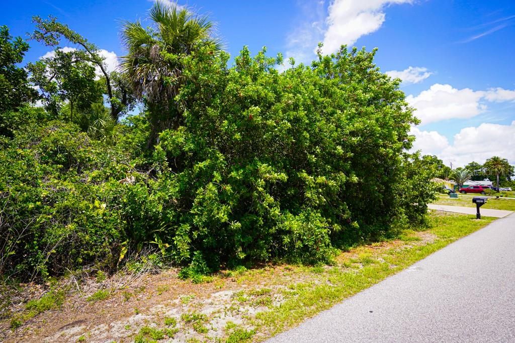 Activo con contrato: $25,000 (0.23 acres)
