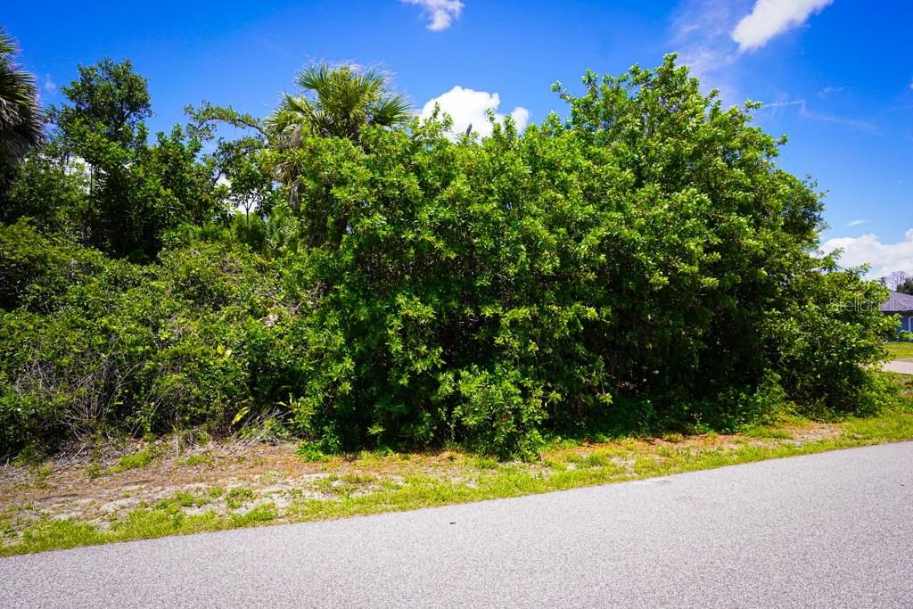 Activo con contrato: $25,000 (0.23 acres)