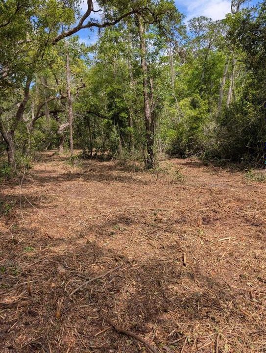 待售: $90,000 (6.05 acres)