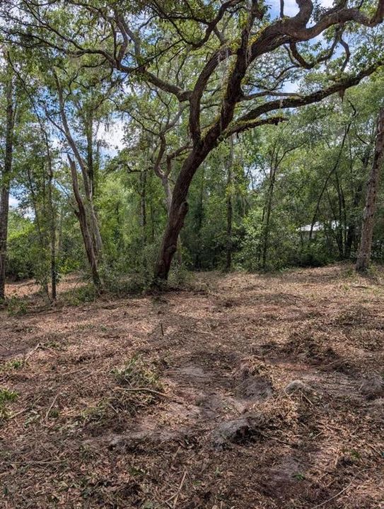 待售: $90,000 (6.05 acres)