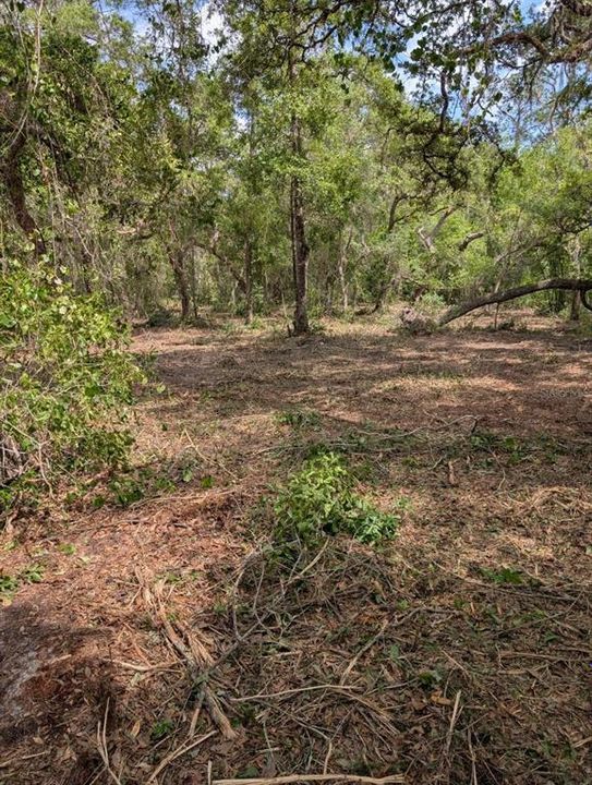 待售: $90,000 (6.05 acres)