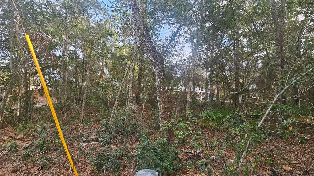 待售: $35,000 (0.13 acres)