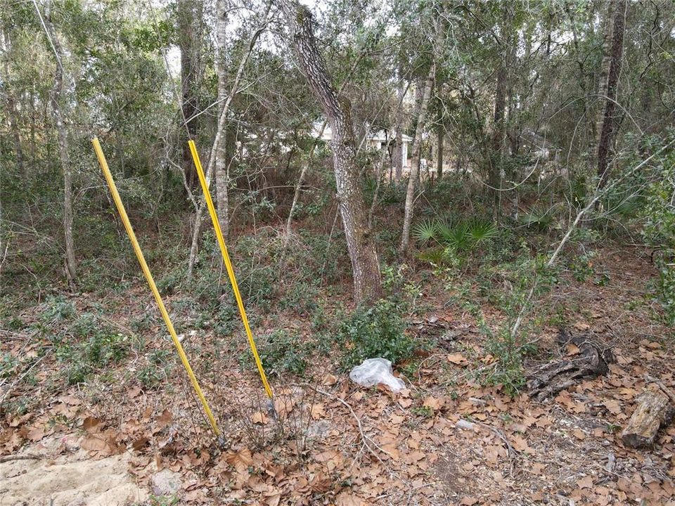 待售: $35,000 (0.13 acres)