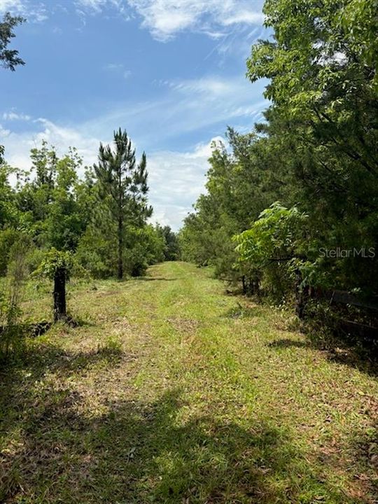 На продажу: $299,900 (10.00 acres)