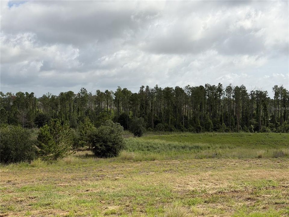 For Sale: $725,000 (0.61 acres)