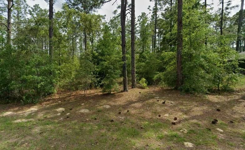 На продажу: $23,000 (0.26 acres)