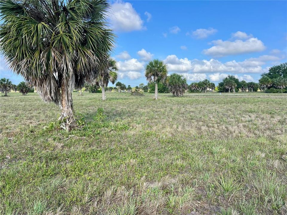 For Sale: $14,888 (0.18 acres)